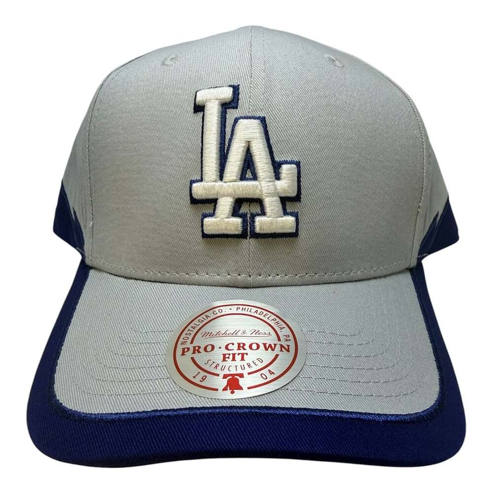 Mitchell & Ness Los Angeles Dodgers Gray Color Up Pro Crown Snapback Hat